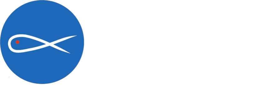 San Vincenzo De Paoli Roma