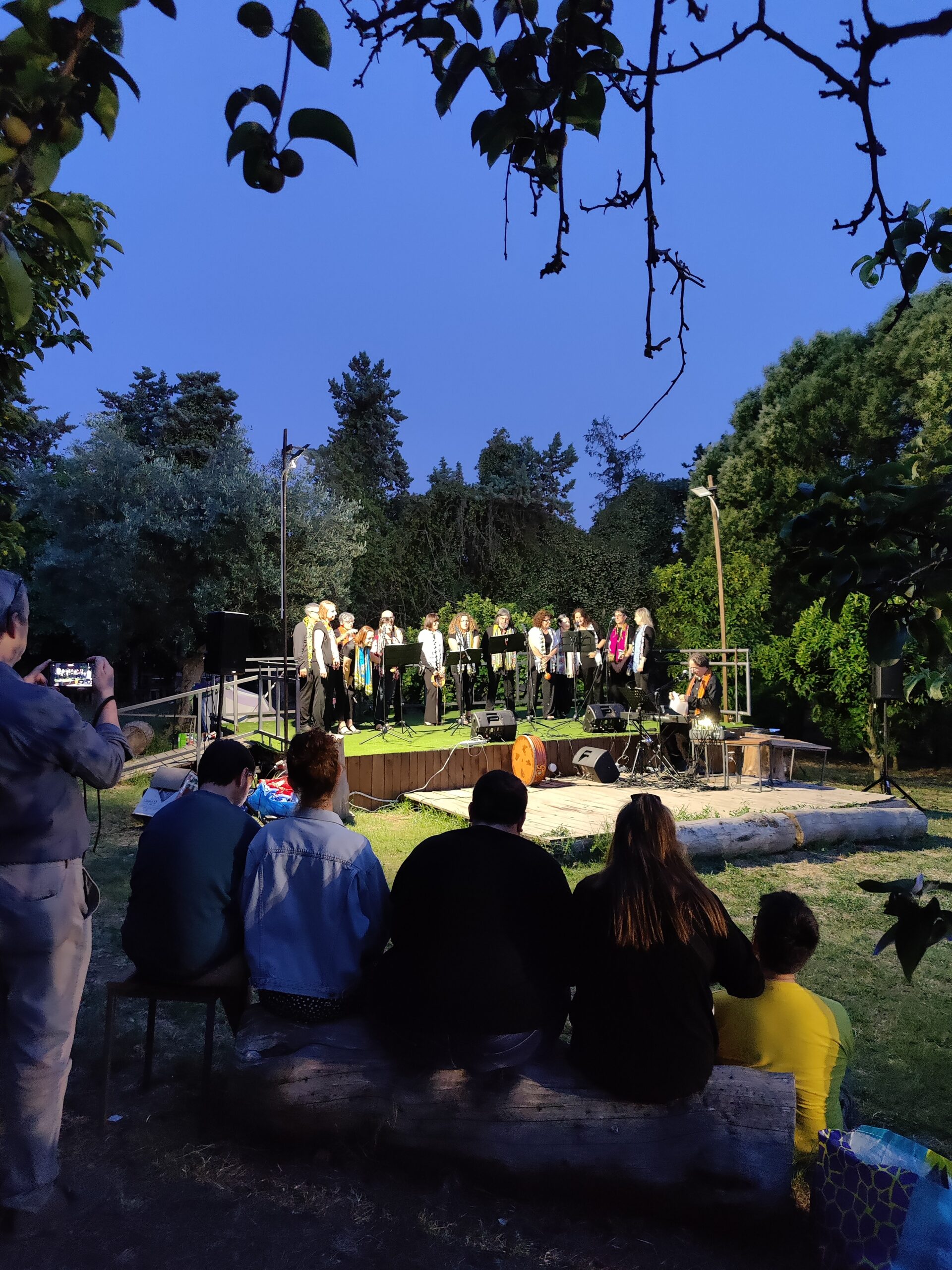 coro voices of freedom